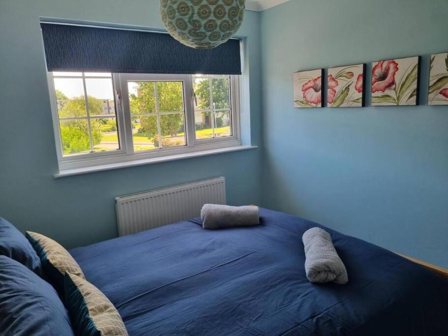 Haven Cottage - Adjacent To Beach And Promenade Walmer Экстерьер фото